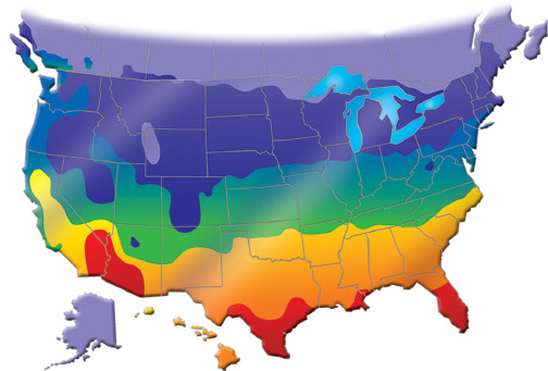 Car Battery Testing at Interstate All Battery Center | Interstate Batteries