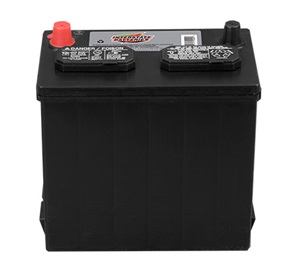 SP-22NF Lawn and Garden Battery