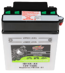 Conventional powersports battery