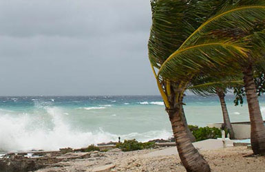 Des vagues s’écrasent sur une île, des palmiers grandement soufflés par le vent